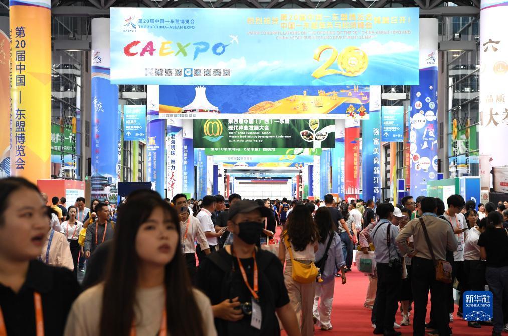 2025年白菜网站大全